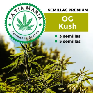 Semillas Premium OG Kush