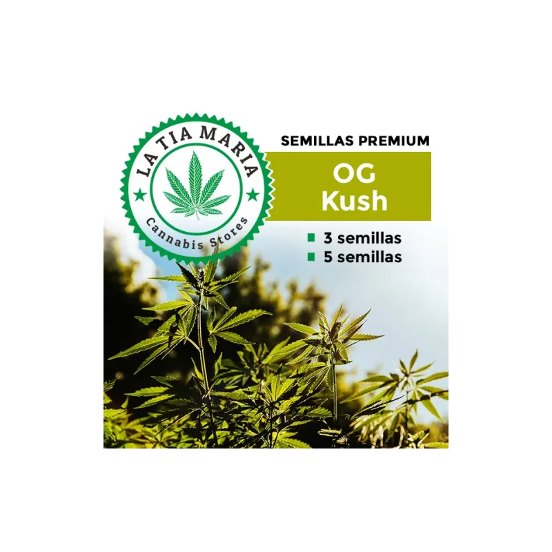 Semillas Premium OG Kush
