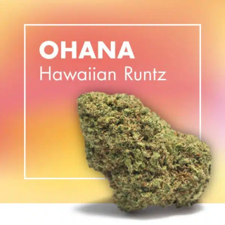 Comprar OHANA CBD 25% | Flor Hawaiian Runtz Dulce y Afrutada