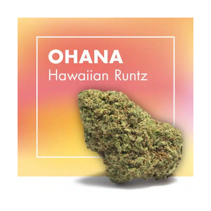 Comprar OHANA CBD 25% | Flor Hawaiian Runtz Dulce y Afrutada