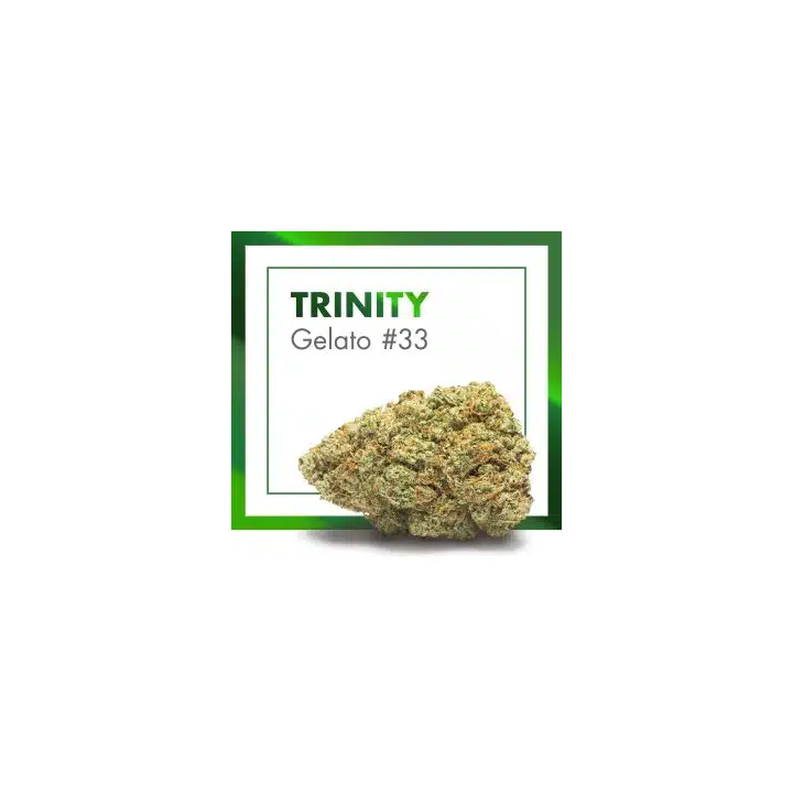 Trinity CBD Indoor (Gelato 33) – Flor Premium de la Emerald Collection | Cannactiva