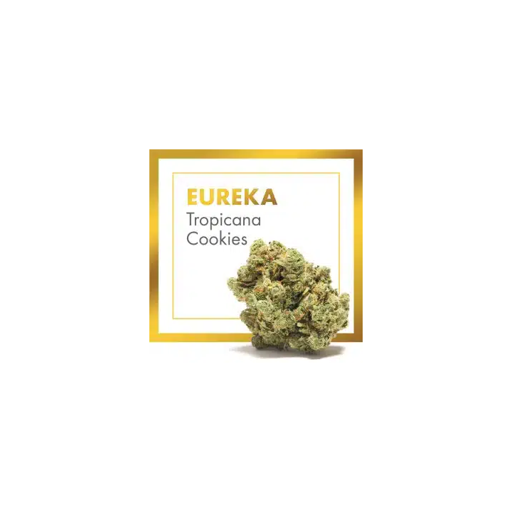 Eureka CBD Indoor (Tropicana Cookies) – Flor Premium de Cannactiva